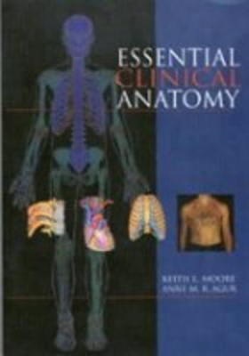 Essential Clinical Anatomy by Keith L. Moore