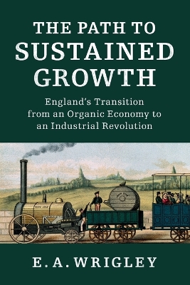 Path to Sustained Growth book