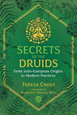 Secrets of the Druids: From Indo-European Origins to Modern Practices book