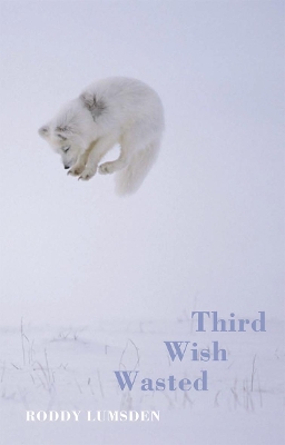 Third Wish Wasted book