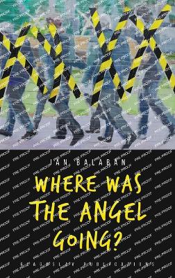 Where Was the Angel Going? book