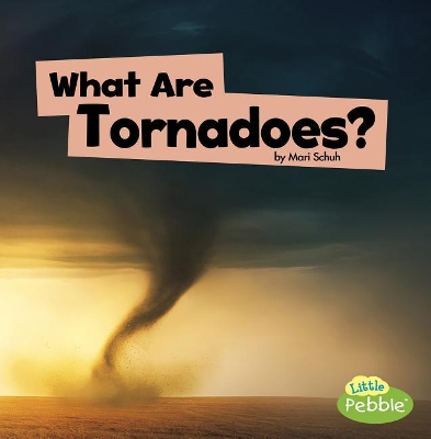 What Are Tornadoes? book