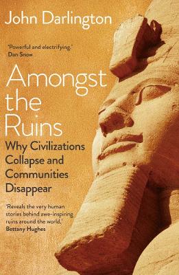 Amongst the Ruins: Why Civilizations Collapse and Communities Disappear book