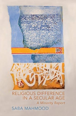 Religious Difference in a Secular Age book