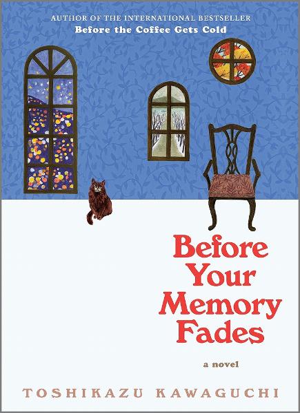 Before Your Memory Fades book