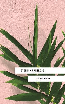 Evening Primrose: a heart-wrenching novel for our times book