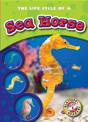 The Life Cycle of a Sea Horse by Colleen Sexton