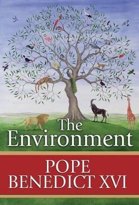 The Environment book