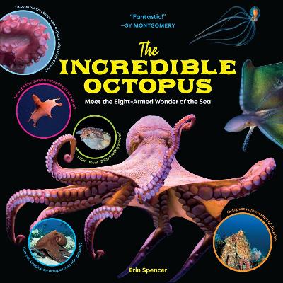 The Incredible Octopus: Meet the Eight-Armed Wonder of the Sea book