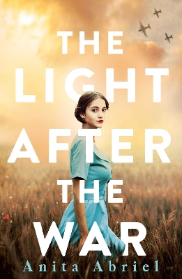 The Light After the War book