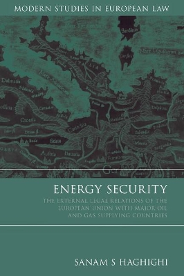 Energy Security book