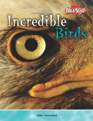 Incredible Creatures: Birds Hardback book