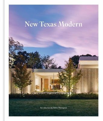 New Texas Modern book