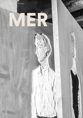Collection MER book