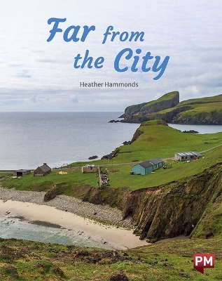 Far from the City book