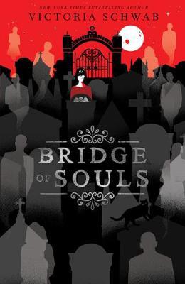 Bridge of Souls book