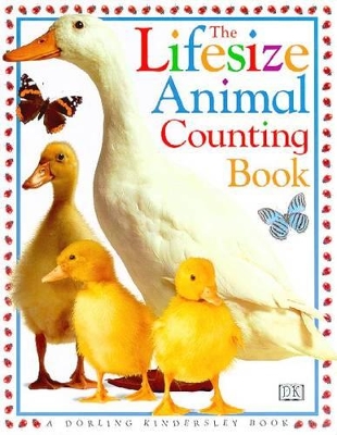 Lifesize Animal Counting by DK