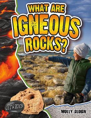 What Are Igneous Rocks? by Molly Aloian