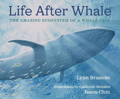 Life After Whale: The Amazing Ecosystem of a Whale Fall book