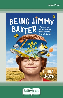 Being Jimmy Baxter by Fiona Lloyd