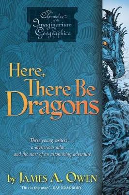 Here, There Be Dragons book