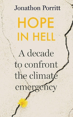 Hope in Hell: A decade to confront the climate emergency book