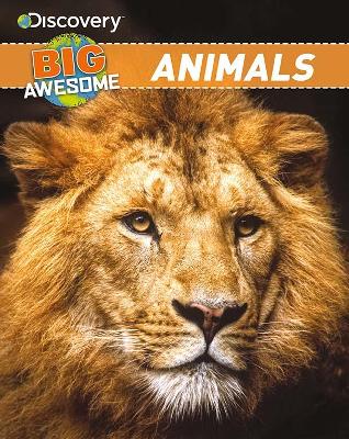 Discovery Big Awesome Animals book