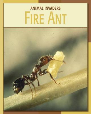 Fire Ant book