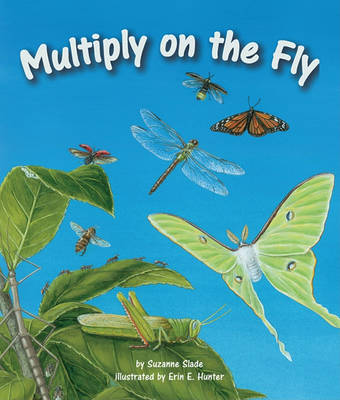 Multiply on the Fly book