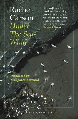 Under the Sea-Wind book