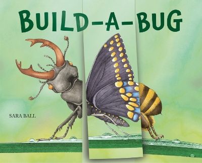 Build-a-Bug: Make Your Own Wacky Insect! book