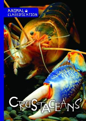 Crustaceans by Joanna Brundle