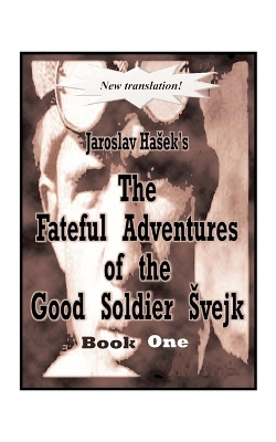 The Fateful Adventures of the Good Soldier Svejk During the World War: Bk. 1 book