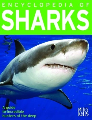 Encyclopedia of Sharks by Anna Claybourne