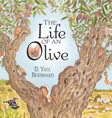 The Life of an Olive by D Yael Bernhard