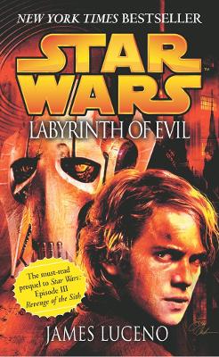 Star Wars: Labyrinth of Evil book