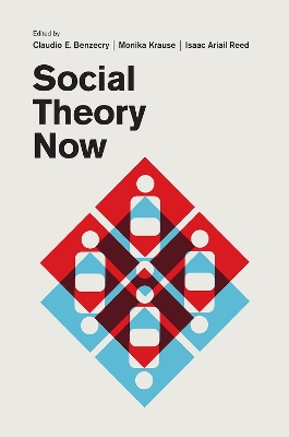 Social Theory Now book