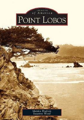 Point Lobos by Monica Hudson