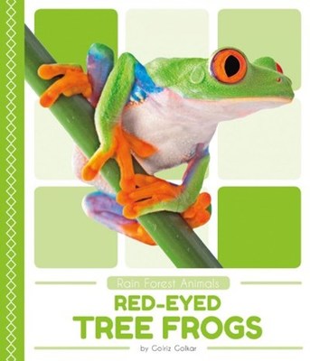 Red-Eyed Tree Frogs by Golriz Golkar