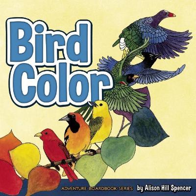 Bird Color book