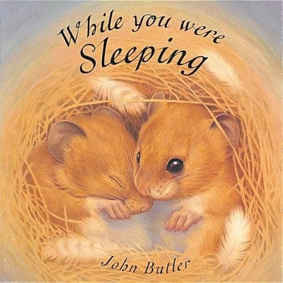 While You Were Sleeping book