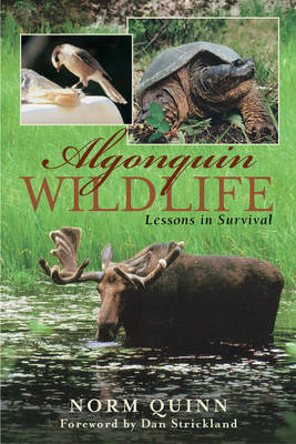 Algonquin Wildlife book