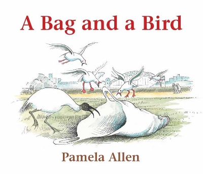 A Bag and a Bird book