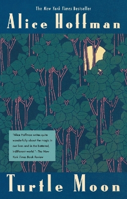 Turtle Moon by Alice Hoffman
