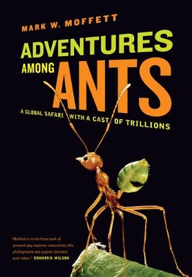 Adventures among Ants by Mark W. Moffett