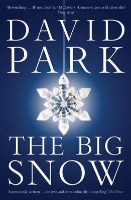 The Big Snow book