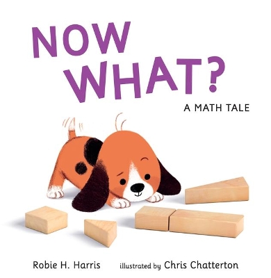 Now What? A Math Tale by Robie H. Harris