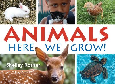 Animals!: Here We Grow by Shelley Rotner