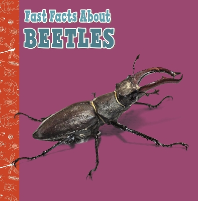 Fast Facts About Beetles by Julia Garstecki-Derkovitz
