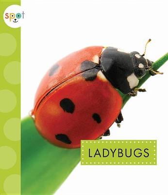 Ladybugs book